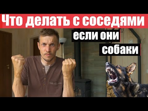 Видео: Сосед поставил вольер с собаками у забора! Нужен ваш совет! Что делать?