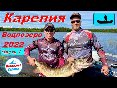 Видео: ✅ Водлозеро 2022. Рыбалка в Карелии. Огромные щуки на спин🎣🐟🐟Часть 1. (1-2 день) #Рыболов_Севера