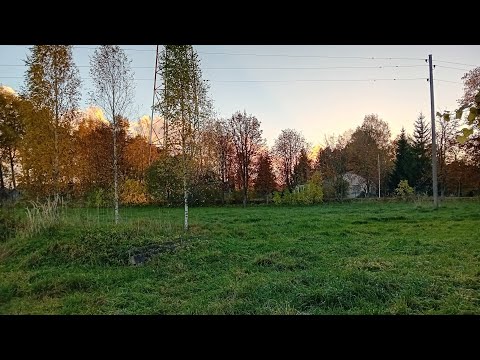 Видео: Отсадили цесаря🌞покупки😉погода  радует🙂