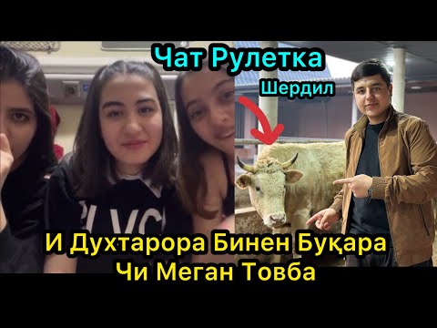 Видео: Товба и Духтарора Бинен Гова Чи меган