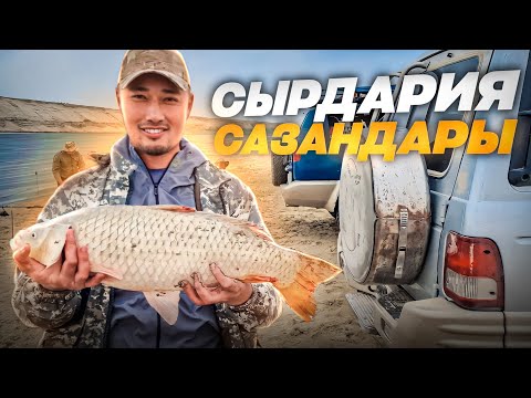 Видео: ЗАПРЕТ КЕЗІНДЕ БАЛЫҚ АУЛАУ???😱 САЗАН БАЛЫҒЫН ҚАРМАҚПЕН АУЛАУ. СЫРДАРИЯ ӨЗЕНІ. ҚУЫРДАҚ. FISHING