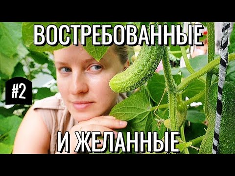 Видео: Востребованные и желанные