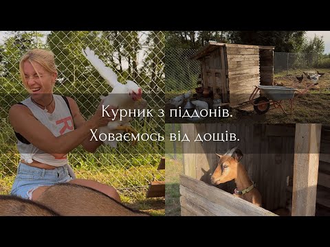 Видео: Курник з піддонів. Ховаємо кіз від дощу.