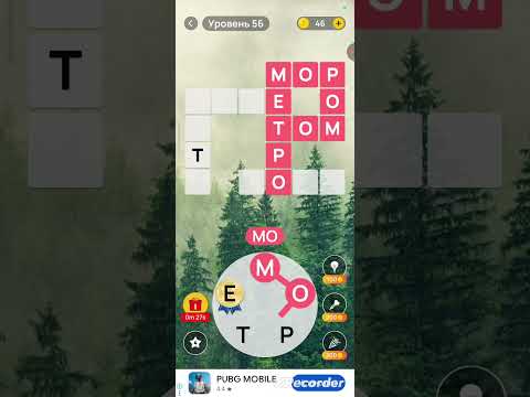 Видео: 5 ноября 2025 г.