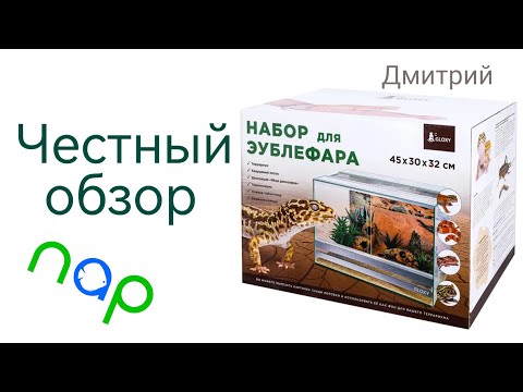 Видео: Набор для эублефара GLOXY