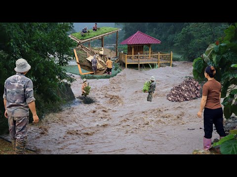 Видео: Жизнь в условиях катастрофы 2025 — новый дом, обильный урожай — The Whole