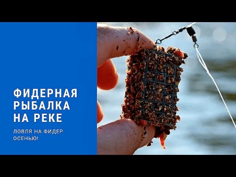 Видео: ФИДЕР осенью на РЕКЕ! Ловля на Фидер 2021! ФИДЕРНАЯ РЫБАЛКА! ПОКЛЁВКИ КРУПНЫМ ПЛАНОМ!