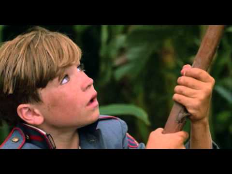 Видео: "Повелитель мух" 1990 (США) Реж. Гарри Хук