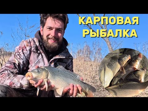 Видео: ЛОВЛЯ КАРПА В ЛЕДЯНОЙ ВОДЕ | Фидер на Нарских прудах