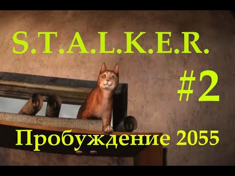 Видео: Пробуждение 2055 — S.T.A.L.K.E.R. в постапокалипсисе а мы спасаем кота! (Прохождения #2)