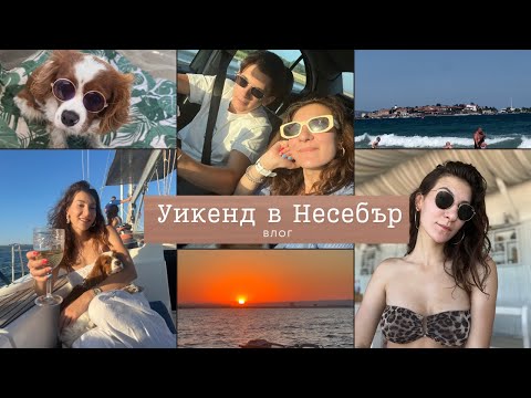 Видео: На море с куче I Уикенд влог от Несебър
