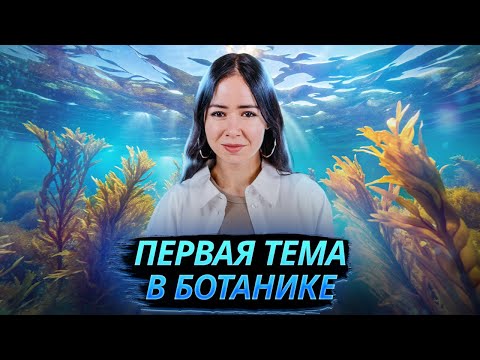 Видео: Все о водорослях для ЕГЭ: первая тема в ботанике I Умскул