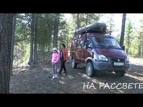 Видео: Семейная рыбалка с НОЧЁВКОЙ ► МОРЕ рыбы. НА РАССВЕТЕ