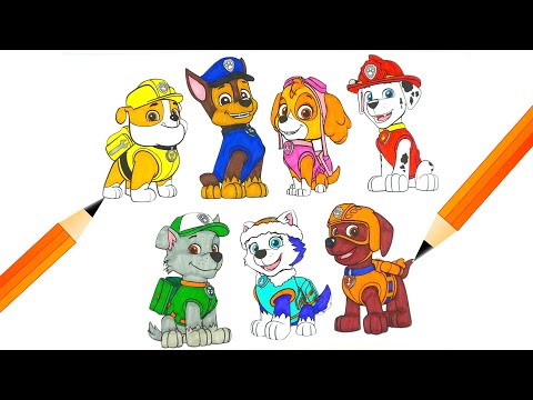 Видео: Раскрашиваем героев мультика Щенячий Патруль