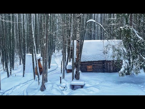 Видео: Снегопад укрыл избушку  / Выбрался на строительство / Создаю уют в тайге