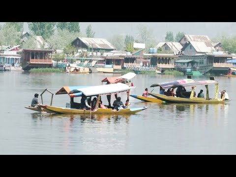 Видео: С возвращением туристов Кашмир оживает