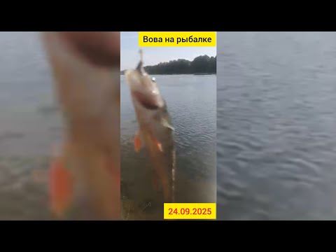 Видео: Вова на рыбалке. 24.09.2025