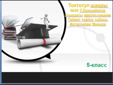 Видео: Табият тануу сабагы жылдыздуу асман