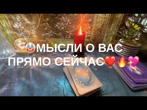 Видео: 10 ноября 2025 г.