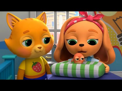Видео: 😻 Кошечки-собачки 🐶 — Птенчик — Серия 42 — Развивающий мультик о животных