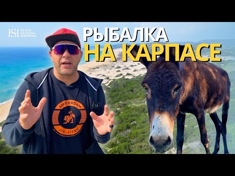 Видео: Рыбалка на Карпасе | Северный Кипр