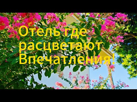 Видео: Обзор  Отеля Belconti Resort, Belek, Турция! 4. 9.2025 🌞