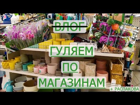 Видео: Гуляем по магазинам. Поиск горшков и цветочных новинок))