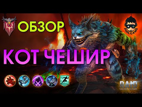 Видео: Кот Чешир обзор героя | RAID: Shadow Legends