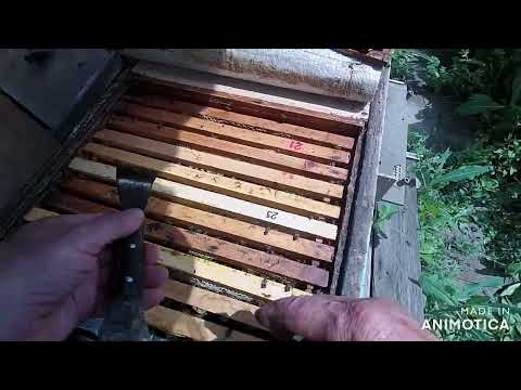 Видео: Что делать, если матка пропала при облёте.