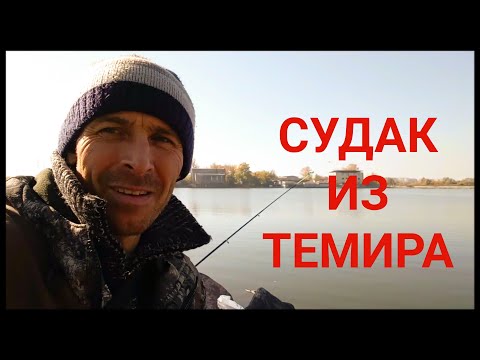 Видео: Рыбалка. Судак. Самаркандское водохранилище.