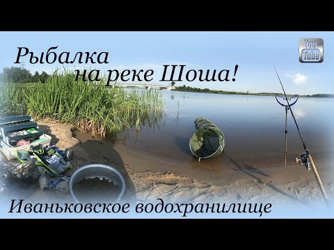 Видео: Рыбалка на реке Шоша, Иваньковское водохранилище, деревня Безбородово, Тверская область