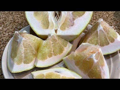 Видео: Помело / Citrus grandis