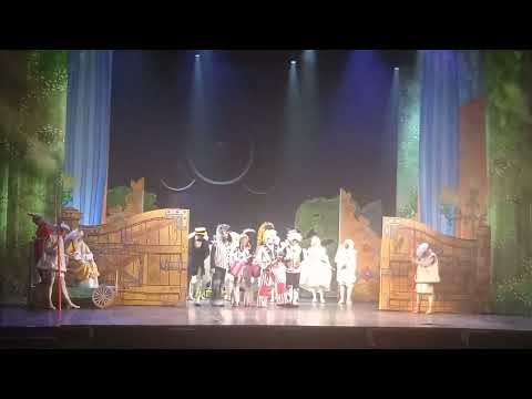 Видео: Бременские музыканты в ДК им. Горького.Фрагменты.Часть 7