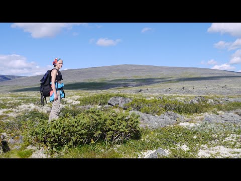 Видео: Ловозёрские тундры. Поход к озеру Райавр.