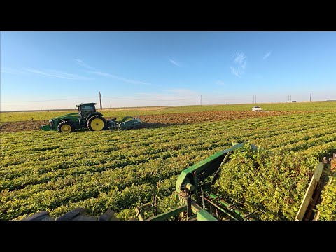 Видео: Будет ли у нас когда-нибудь перерыв?