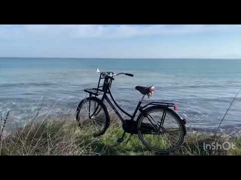 Видео: Прогулянка вздовж Чорного моря 💕