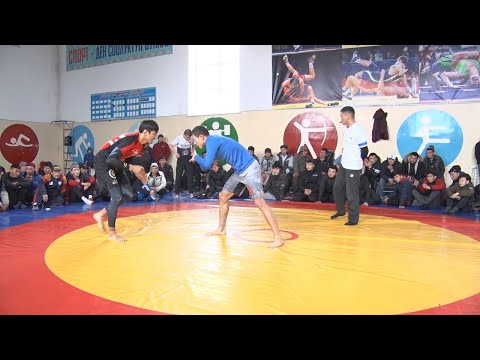 Видео: Греплинк Челпек 27 02 2021