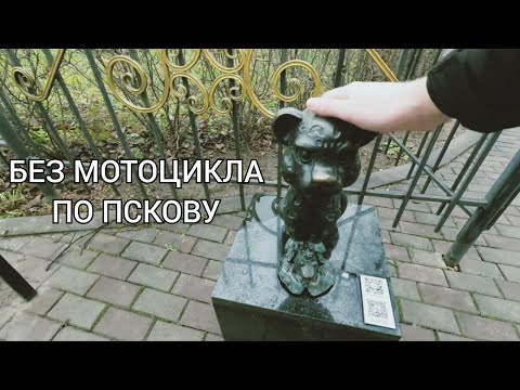 Видео: Псков - в погоне за Барсиками