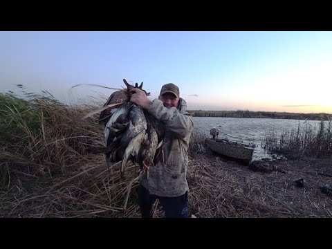 Видео: Царская охота. Стволы не успевали остывать.
