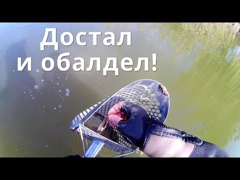 Видео: Пляжный коп на линии...Не удержался,а зарекался не ездить!