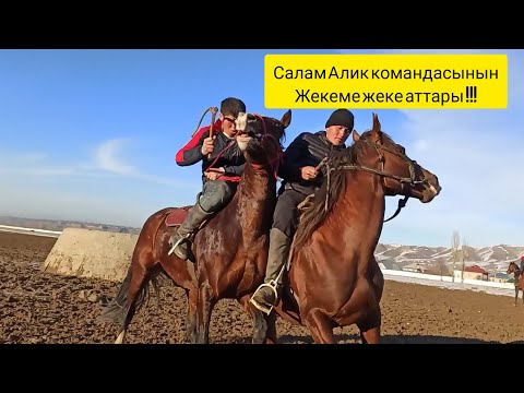Видео: Салам Алик командасынын аттары менен танышуу ! Ош Талас Ынтымагы 👍👍👍 !