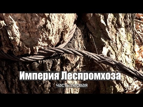 Видео: Империя леспромхоз
