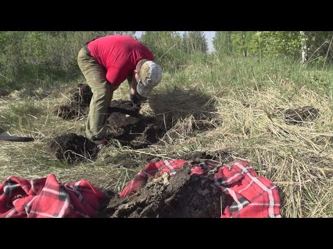 Видео: 300 кг свинца и полный прицеп металла. супер мега коп.
