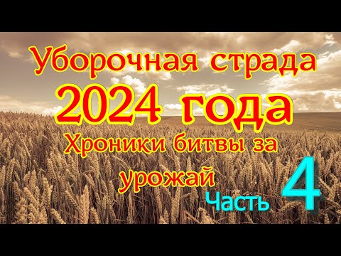 Видео: Уборочная страда 2024 года.  День за днем . 14 -19 сентября 2024 года.