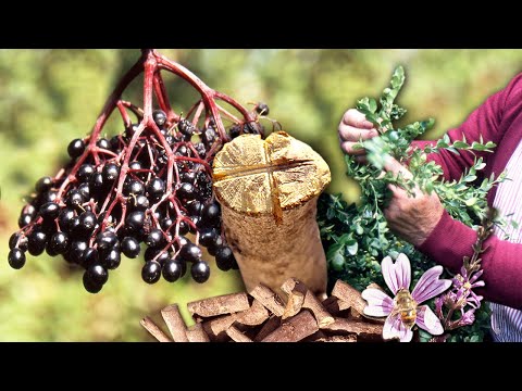 Видео: Средства на основе растений и корней: сиропы, дезодоранты, неприятный запах изо рта и многое другое