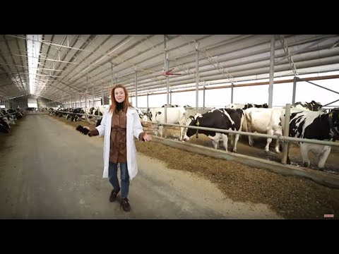 Видео: В путь! «Сделано в Приднестровье»: «Благода» - 31/03/22