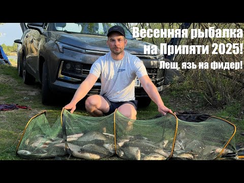 Видео: Весенняя рыбалка на Припяти 2025! Ловля крупного леща и язя на фидер!