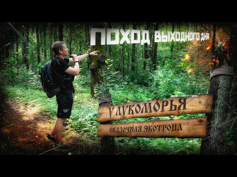 Видео: ПВД | ЭКОТРОПА у Лукоморья | Поход выходного дня