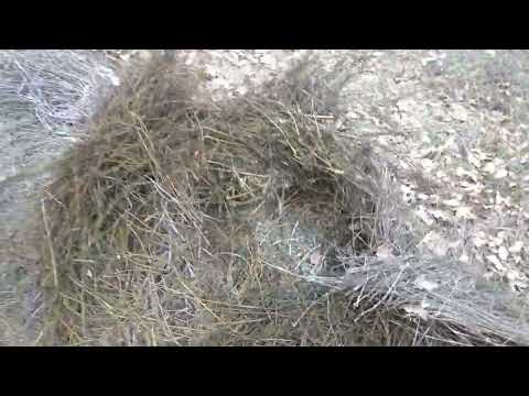 Видео: 20. АНАЛИЗ ДОПУЩЕННЫХ ОШИБОК. Как исправить и выйти?