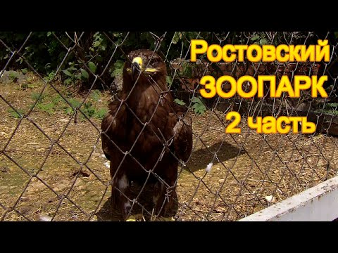 Видео: ВЛОГ/Ростовский зоопарк/2 часть/много птиц